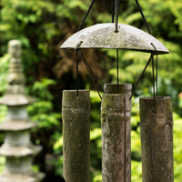 Infusion - Feng Shui - 70g